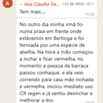 Ferroada de abelha - texto